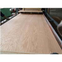 China 1220X2440 plywood,film faced plywood supplier