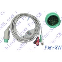 Boztron patient ECG cable one piece 5 leads