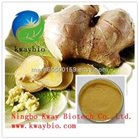 High quality Ginger Extract, Gingerols 5%HPLC
