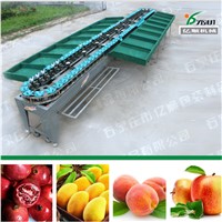 Fruit sorting machine factory price