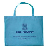 Non woven storage bag