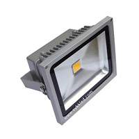 50W LED Flood Light