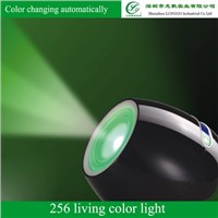 256 Living Color Light,Led Mood Light