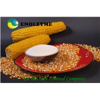 ENOLZYME Xylanase 10 000