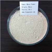 Natural high quality peru dried maca root extract