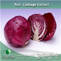 Cabbage Extract