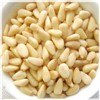 2014 new crop pine nut kernel