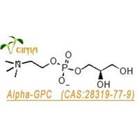 Alpha-GPC/choline alfoscerate / L-alpha-glycerylp (CAS:28319-77-9) Manufacturer