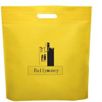 Cheap Non Woven Laminated Bags