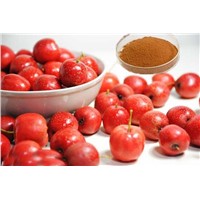 Hawthorn Extract Flavonoids 5% 20% by UV