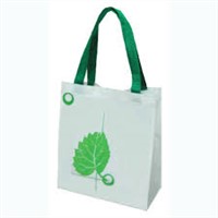 Non Woven Gift Bags High Quality