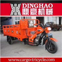smart economical gasoline driving moped cargo tricycles for sale