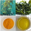 Plant/Herbal extract Catalog|Ningbo Gianon Biotech Co., Ltd.