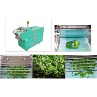 Mutifunction vegetable cutter | Potato cutter machine