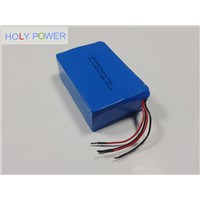 36V 10.5Ah LiFePO4 Battery Pack HLY-12F10.5