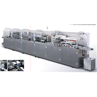 PBL-250A automatic vial packing production line (for ten blister)
