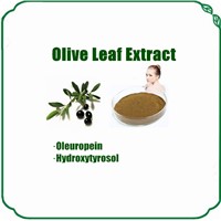 Water Soluble Olive Leaf Extract with Oleuropein &amp;amp; Hydroxytyrosol