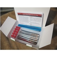 Feline Coronavirus Virus Antigen Test