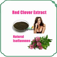 natural Isoflavone powder 8% 10% 20% 40% Red Clover Extract