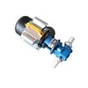 fuel oil transfer electric handle gear pump