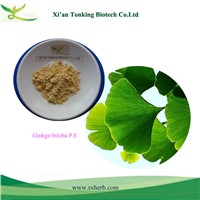 Ginkgo biloba extract, Ginkgo leaf extract