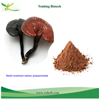Reishi mushroom extract, Ganoderma lucidium extract, Polysaccharide 20%