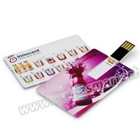 Promotional Credit -Card-Shaped USB Business Card