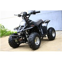 500W/800W/1000W Electric ATV/Electric Quad Bike