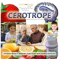 Cerotrope Brain &amp;amp; Memory Vitmains Supplement