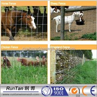 Factory direct sale High Quality field fence  ( ISO9001-2008)