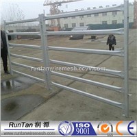 Galvanized Pipe Horse Fence Panels