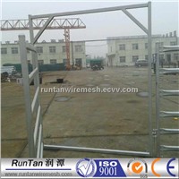 Horse Gates for Sale