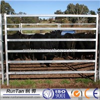 Hot Galvanized 6 Rail Cattle Panel