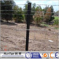 Galvanized Field fence factory (ISO9001:2008)