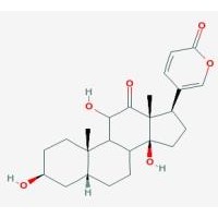 Praeruptorin A Cas No.: 73069-27-9 HPLC> 98%