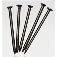 China low price  common iron nail in Guangzhou supply