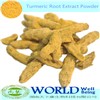 Hot Selling High Quality 95% Turmeric Powder,Curcumin Extract Turmeric Root Extract Powder,Turmeric