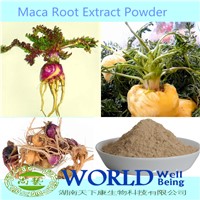 100% Natural Sex Product Black Maca Extract Medicine For Long Time Sex Maca Root Extract Powder