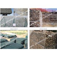 Gabion mesh