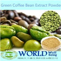 High Quality Green Coffee Bean Extract Powder With Chlorogenic Aicd