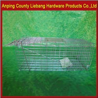 Foldable Humane Metal Live Animal Trap Cage for Possum Cat Mink Small Raccoon