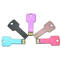 Key USB Flash Drive / Stick  perfect for Company Gift