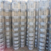 hot dipped galvanzied top and bottom wire 2.5mm field fence with low price