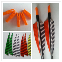 carbon fiber arrows with true stripe feather