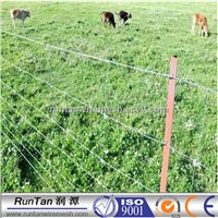 Cheap Hot Dipped Galvanized Cattle Fence