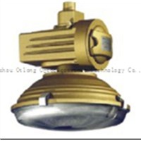 explosion-proof light fitting
