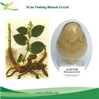 Giant knotweed extract Trans-resveratrol 50%