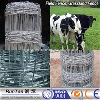 China supplier high quality 1.5m galvanized grassland field fence
