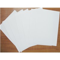 Prochema 100um Coated GP Synthetic Paper