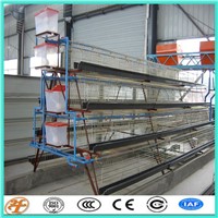 China Supplier Poultry Farming 4 Tiers Layer Chicken Cage
